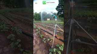 why irrigation system will make you richer then other farmers yuzuak JET 35 Rain gunirrigationtz [upl. by Paluas]