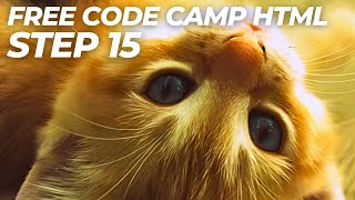 Learn HTML by Building a Cat Photo App  Step 15 [upl. by Wrdna827]