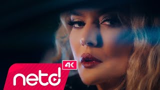 Demet Akalın  Gidecek Bir Gün  YouTube Music [upl. by Thacker]