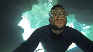 273 Scary Cave Diving in Florida  Wekiva Springs Freediving [upl. by Rintoul]