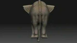 Elephant 3D Model [upl. by Aihsenat]