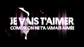 Michel Sardou  Je vais taimer Official Lyrics Video [upl. by Ariaek]