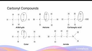 Naming Every Organic Functional Group Using IUPAC Conventions  HSC Chemistry [upl. by Gnehs190]