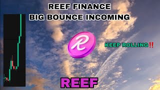 REEF COIN BIG BOUNCE COMING UPDATES IN SEPTEMBER 2024❗ REEF FINANCE KEEP ROLLING❗HAPPENING SIMILARLY [upl. by Akemej]