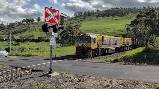 TasRail TR13 TR12 TR15 32 train crossing Mud Walls Road [upl. by Norrej]