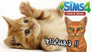 The Sims 4 Cats amp Dogs 2 ทาสแมวต้องดู รีวิวสายพันธุ์น้องแมวเหมียว [upl. by Sremlahc]