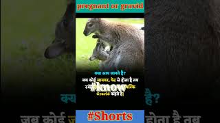 pregnant and gravid knowledge motivation shortvideo facts short viralvideo shortsfeed [upl. by Arvid]