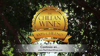 ChileanWines  Corto [upl. by Itsa]