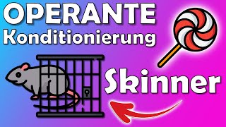 Operante Konditionierung nach Skinner  Lernen durch Verstärkung [upl. by Katy456]