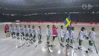 Hammarby  Sandviken 94  SMFinal 2013  HD [upl. by Rebecca]