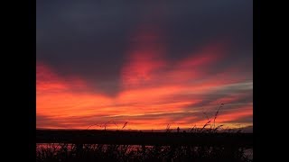 Weerbericht disndagochtend Vanmiddag meer zon [upl. by Nabal751]