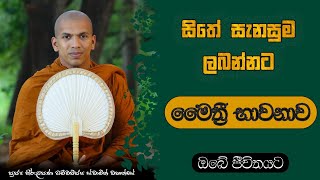 මෛත්‍රී භාවනාව  VenKirulapana Dhammawijaya Thero [upl. by Carroll]