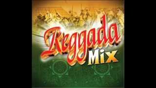 Top reggadaaarfa alawi mix 2010 [upl. by Daveen]