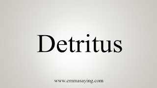 How To Say Detritus [upl. by Yorle]