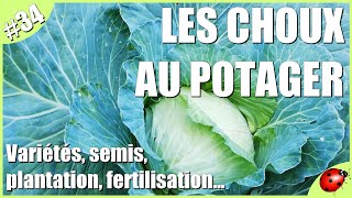 CHOUX amp FERTILISATION au POTAGER [upl. by Urdna]