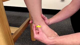 Distal Tibiofibular Joint Play Whitworth Athletic Training [upl. by Ardin]