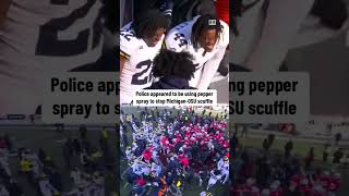 Players appeared to be pepper sprayed to break up the MichiganOhio State brawl 😳 [upl. by Lemrahc]