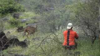 Ponos Muzzleload Lanai Axis Deer Hunt [upl. by Aredna]