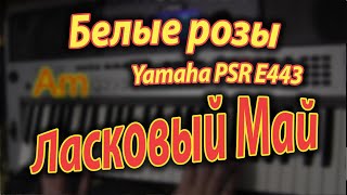 Белые розы Аккорды Yamaha PSR E443 [upl. by Emery]