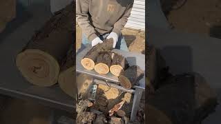 Wood cutting blade viralvideo woodworking decoration tools shorts [upl. by Sibyls]