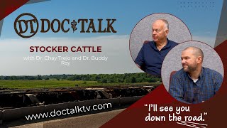 DocTalk Ep 556  Stocker Cattle with Dr Chay Trejo and Dr Buddy Ray [upl. by Benjy]