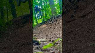 Pisgah MTB A Warning from the Frontlines [upl. by Airamak]