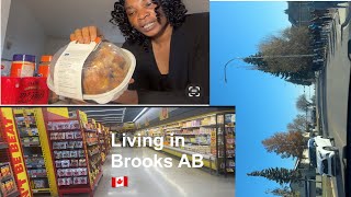 Life in Brooks AB Grocery ShoppingZion Evaglist Ebuka program living in Canada 🇨🇦 [upl. by Camille]