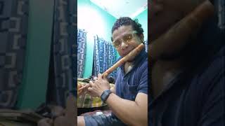 Xuno xuno re xuro  Assamese Borgeet  Flute Instrumental [upl. by Eam]