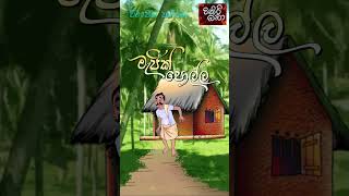 💥🥭ටිකිරි බබා💥🥭 sinhalacartoons cartoon animation [upl. by Ruddy975]