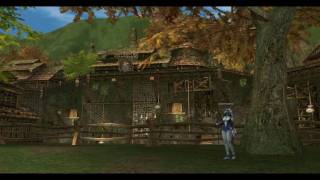 Lineage 2  Hunters Village Theme [upl. by Neelyar593]