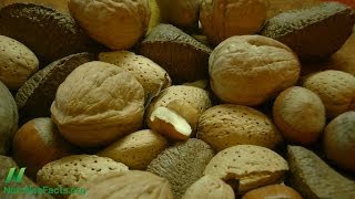 Which Nut Fights Cancer Better [upl. by Lynette511]