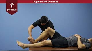 Popliteus Muscle Test Palp Dr Nikita Vizniak Muscle Manual [upl. by Launcelot]