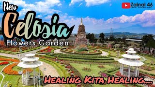 Healing Kita Healing  Yuk Explore Taman Bunga New Celosia  Bandungan [upl. by O'Doneven]