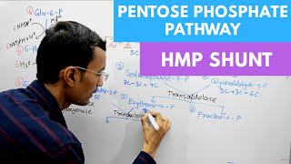 Pentose Phosphate Pathway  Hexose Monophosphate Shunt [upl. by Polky]