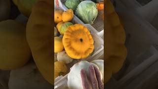 Patty Pan Squash Prep Ernst Family Farms Lunken Farmers Market [upl. by England]