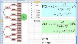 Binomial distribution [upl. by Skier]