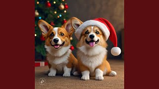 Corgi Christmas Joy [upl. by Howard]