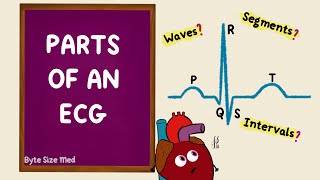 Intro to EKG Interpretation  QRST Changes [upl. by Chenee316]