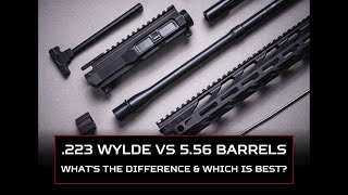 223 Wylde vs 556 Barrel Whats the Difference and Which is Best [upl. by Crisey648]