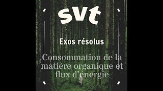 SVT Consommation de la matière organique et flux d’énergie [upl. by Howlond868]