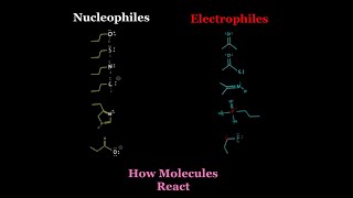 How to Analyze Nucleophiles amp Electrophiles to Predict EVERY ORGANIC CHEMISTRY REACTION MCAT OCHEM [upl. by Anidualc]