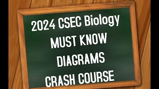 2024 CSEC Biology MUST KNOW DIAGRAMS CRASH COURSE [upl. by Jasisa]