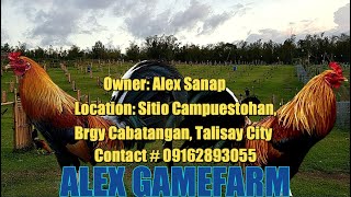 Lets Visit The Farm Of Alex Gamefarm [upl. by Ivers]