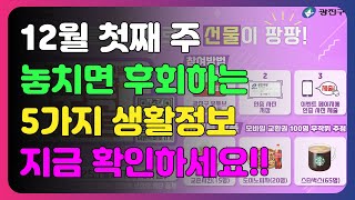 12월 첫째주 놓치면 후회하는 5가지 생활정보 [upl. by Euqinimod]