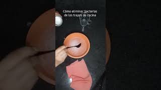 Cómo DESINFECTAR los TRAPOS o PAÑOS de COCINA 💡 [upl. by Rissa97]