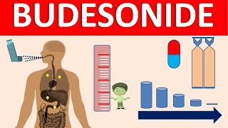 Budesonide  Mechanism side effects precautions amp uses [upl. by Lockhart]