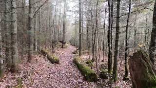 Portage  West Bearskin Lake to Daniels Lake in the BWCA [upl. by Ahseia]