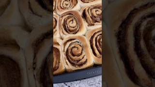 Cinnamon rolls bakersofinstagram thanksgiving baking [upl. by Imij]