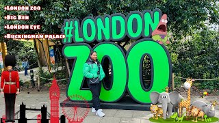 VLOG London zoo Big ben Ldn eye amp Buckingham palace 😁🥳 [upl. by Berni]