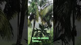 movi of UttamkumarKatadin Dekhini Tomaylove song [upl. by Nylisoj]